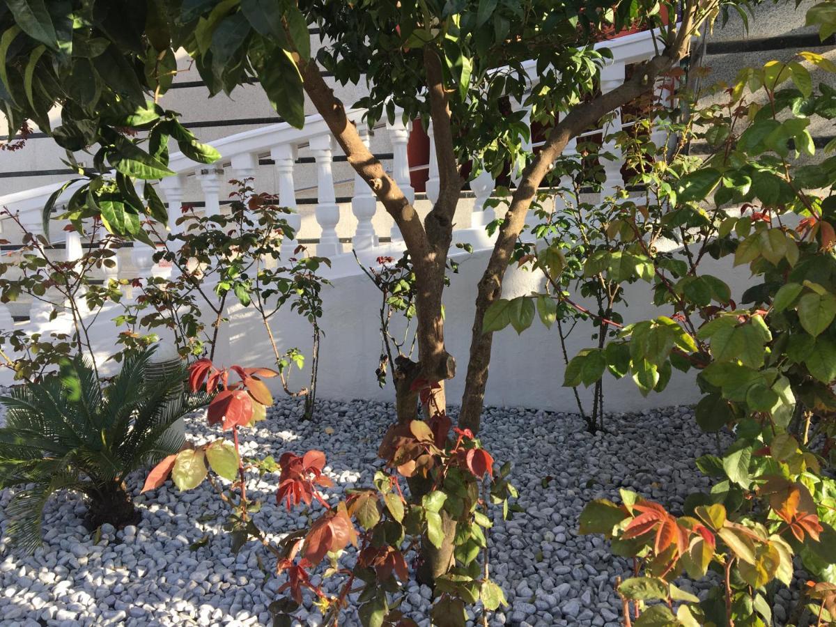 Hotel Torres I Villanueva Del Arzobispo Εξωτερικό φωτογραφία